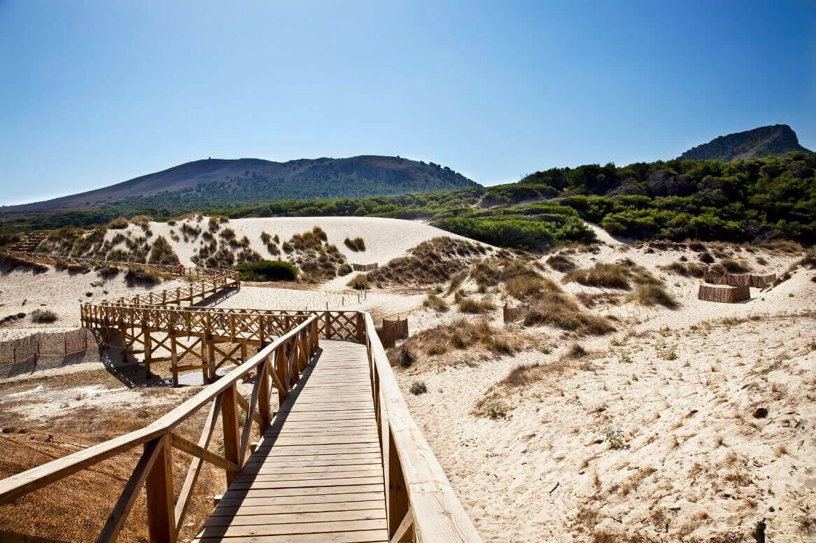 oad wandel-4-daagse mallorca