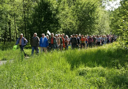 Avondvierdaagsen impressie