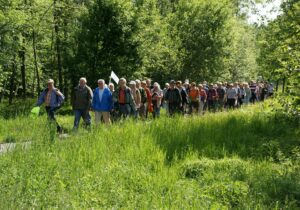 Avondvierdaagsen 2025