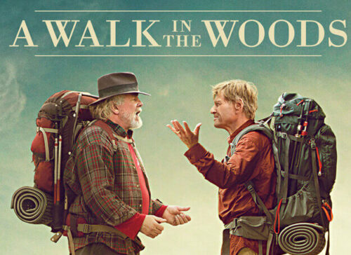A Walk into the Woods