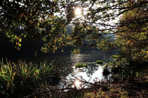 Impressie Wandelen Noord-Brabant
