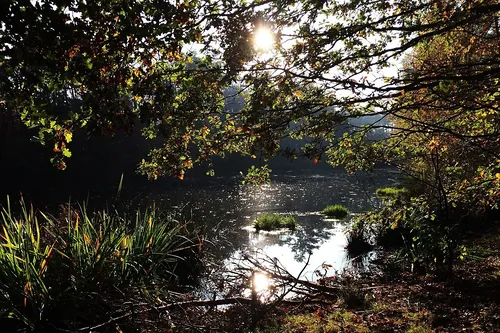 Impressie Wandelen Noord-Brabant
