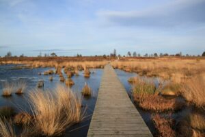 Wandelen België