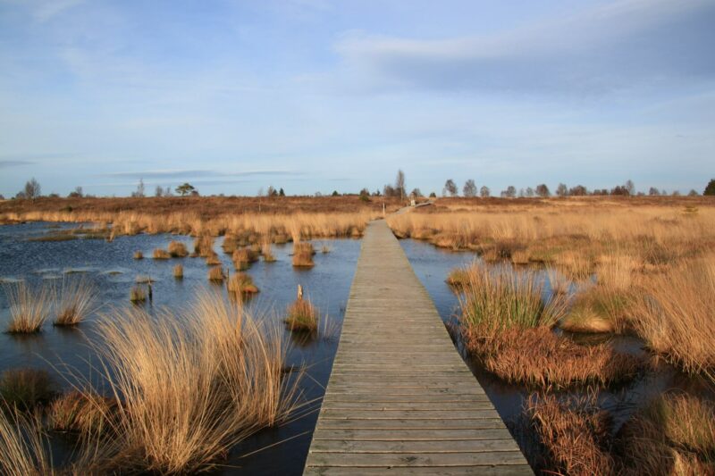 Wandelen België