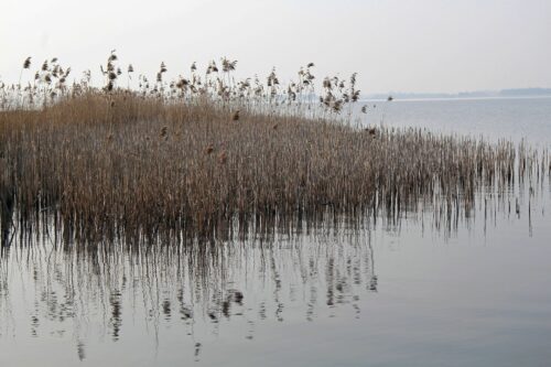 De natuur in Drenthe
