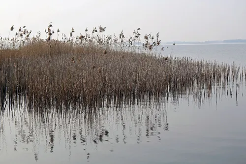 De natuur in Drenthe