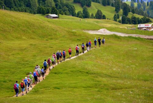 Wandelvierdaagsen kalender