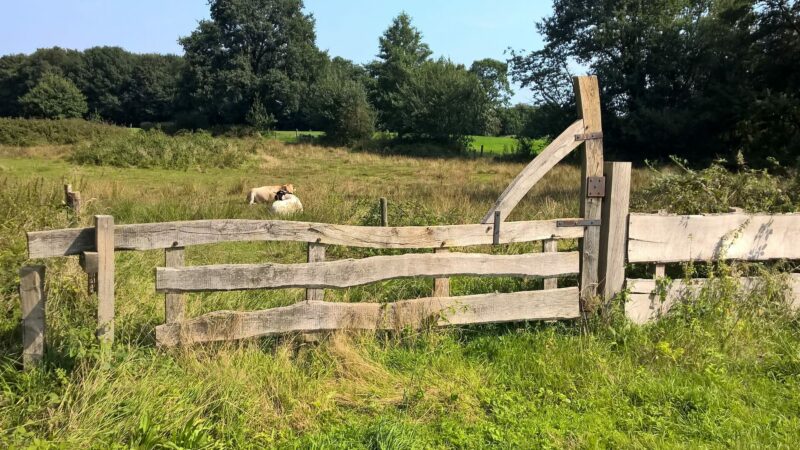 Wandelen in Twente