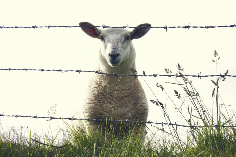 Sfeerfoto Ierland
