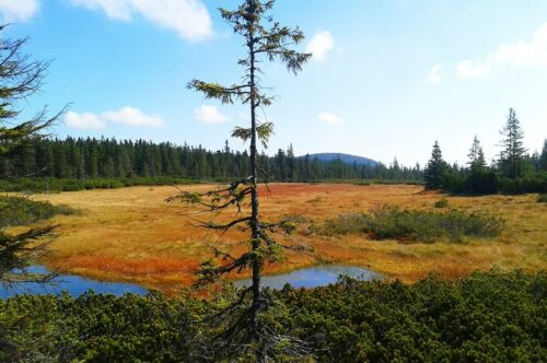 landschap Tsjechië