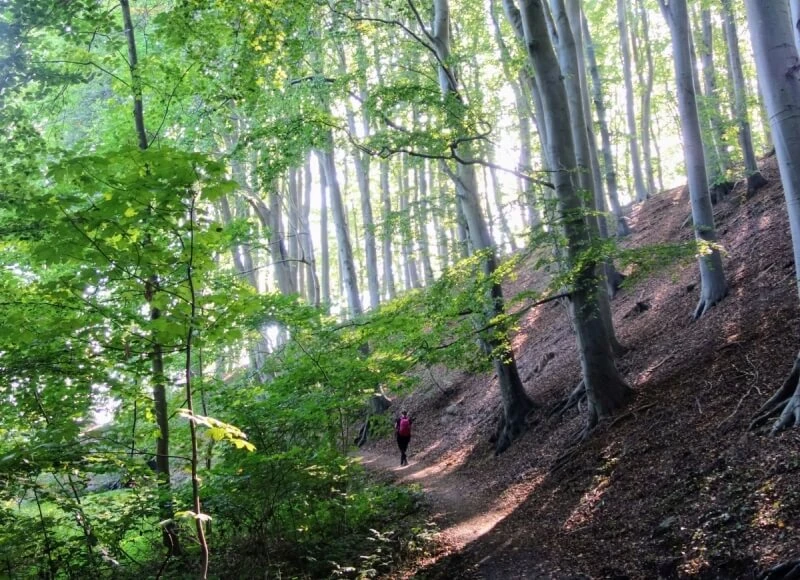 Verkiezing Wandelroute van het jaar 2020