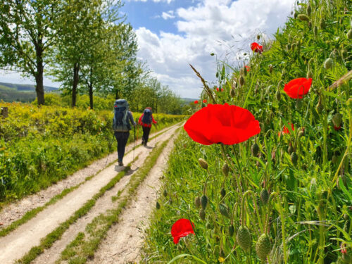 Wandelroute Dutch mountain trail