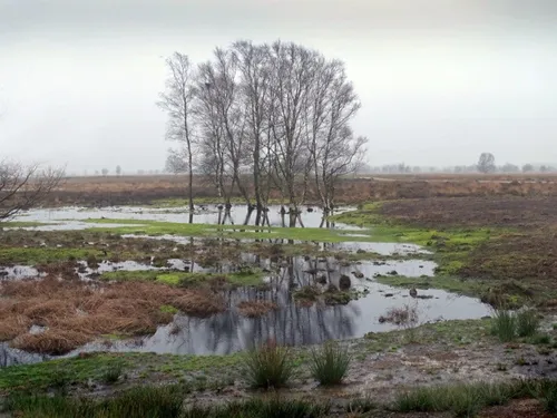 Wandelroute Hondsrugpad-Hünenweg