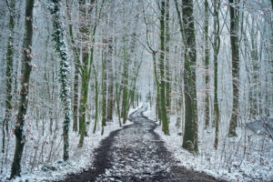 winter wandelen