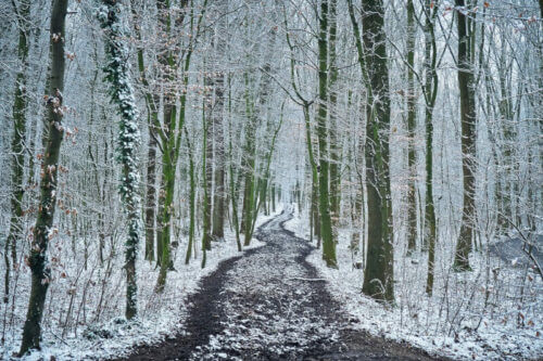 Winter wandelen