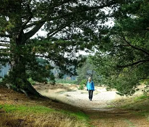 Impressie Stellingenpad