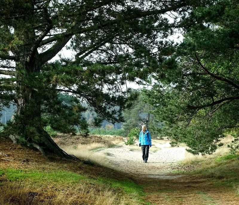 Impressie Stellingenpad