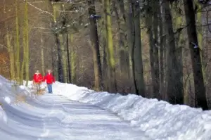 winterwandelen