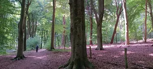 Rondom Veluwe (hicle-events)