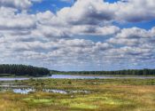 5 daagse wandelvakantie Drenthe pad.