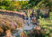 Midweek wandelen in Belgisch Limburg