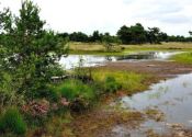 Wandelvakantie Twente