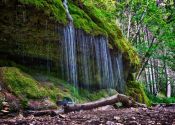 7 daagse Wandelreis Zwarte Woud